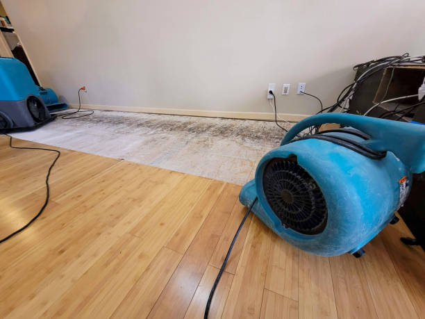 Professional Water Extraction technician working in Harmans, MD